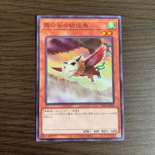 霞の谷の幼怪鳥 ノーマル