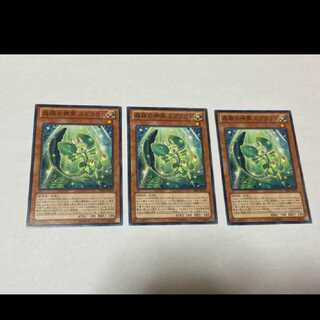 遊戯王 森羅の神芽 スプラウト 3枚　型番あ-1048