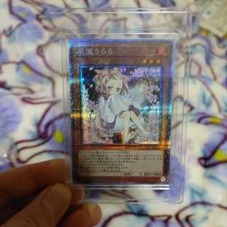 【最安値】灰流うらら プリズマティックシークレットレア