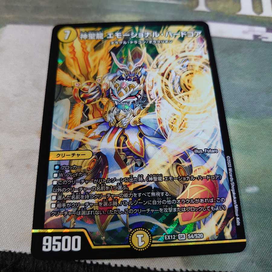 神聖龍 エモーショナル・ハードコア