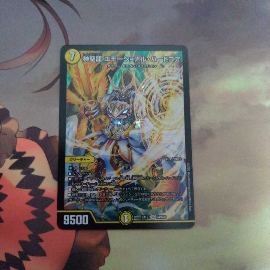 神聖龍 エモーショナル・ハードコア