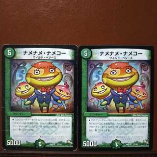 old5761 set discount Nameko Namename Nameko