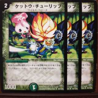 old5769 set discount Ketto Tulip