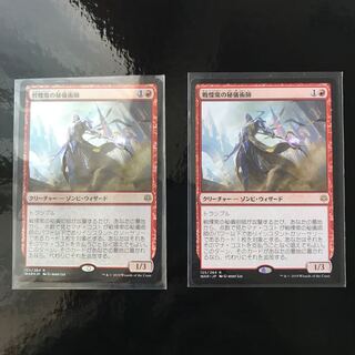 【にむちゃん様専用】戦慄衆の秘儀術師 FOIL通常版セット