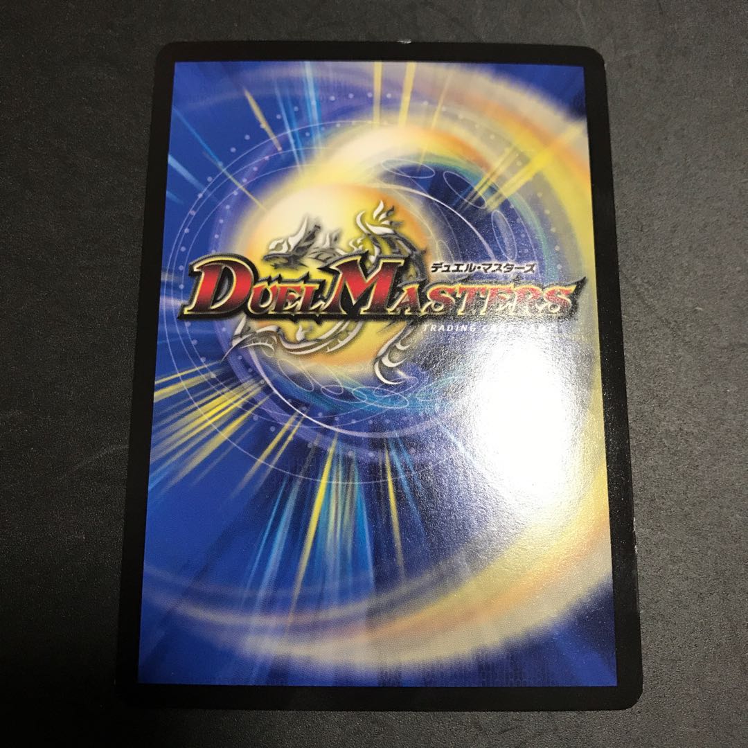 煌メク聖壁 灰瞳