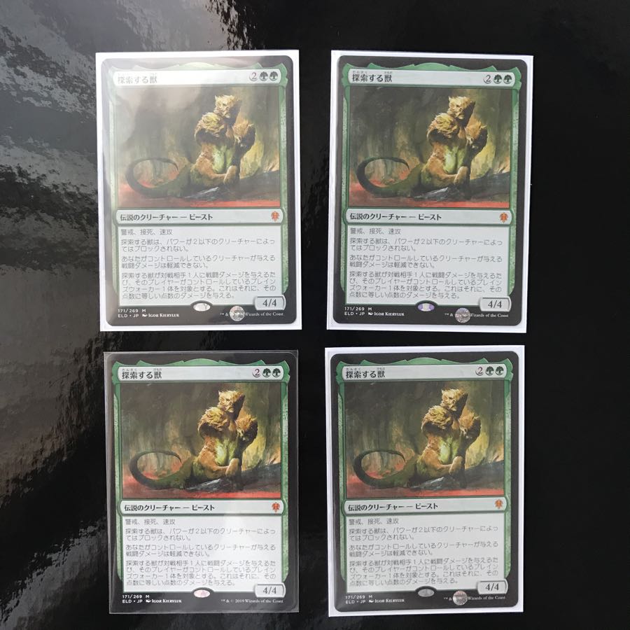 【Juno様専用】探索する獣 2枚セット