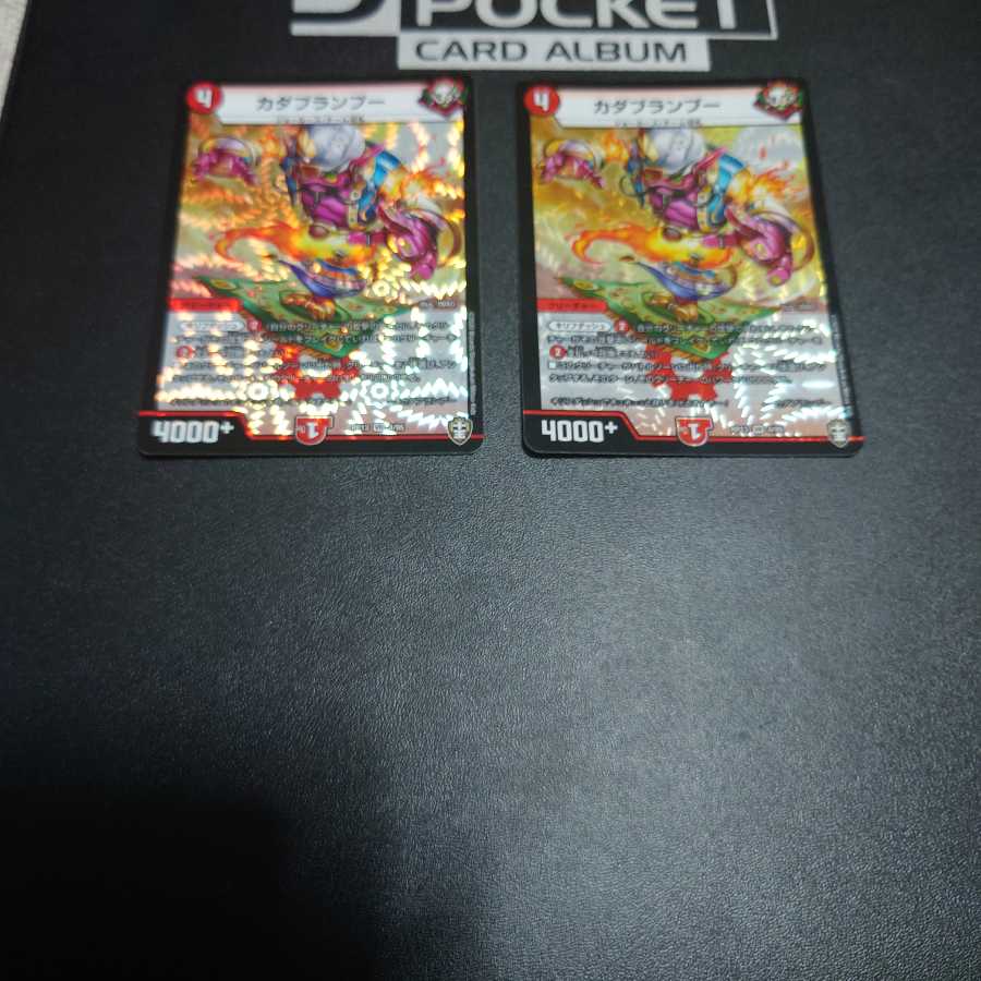 カダブランプー　2枚