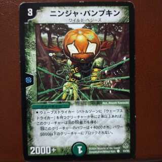 Discount on old5793 set Ninja Pumpkin