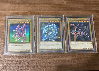 青眼の白龍 レッドアイズ　ホーリーナイトドラゴン　シク