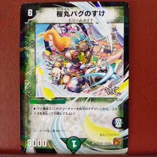 old5814セット割引　桜丸パグのすけ