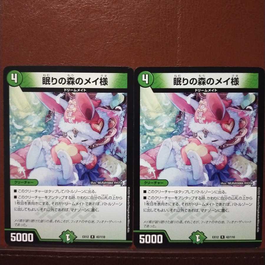 セット割引 眠りの森のメイ様