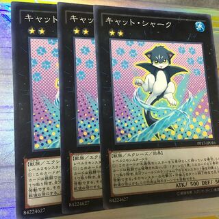 キャット・シャーク ノーマル