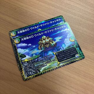 大革命のD ワイルド・サファリ・チャンネル