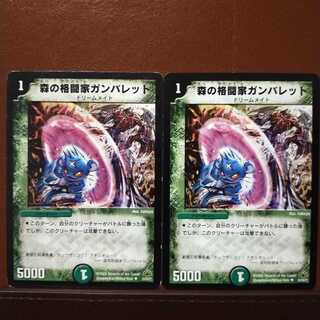 デュエルマスターズ 森の格闘家ガンバレット Amazon.co.jp: デュエルマスターズ/DM-30/33/U/森の格闘家ガンバ