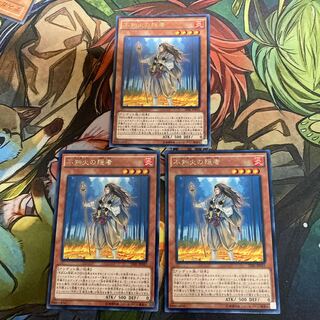 複数購入☆割有　不知火の隠者