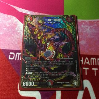 一王二命三眼槍 シク