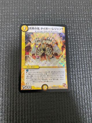 真実の名 タイガー・レジェンド