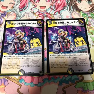 密かで華麗なるカイタイ