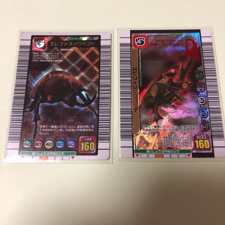 Elephas elephant Kabuto