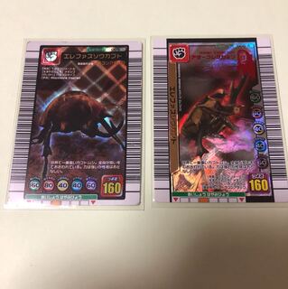 Elephas elephant Kabuto