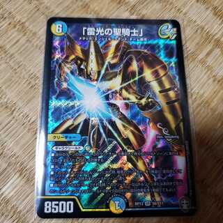 「雷光の聖騎士」