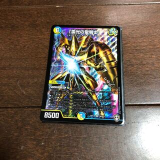 「雷光の聖騎士」