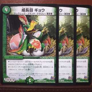 Discount on old5877 set Growth eye Gyo.