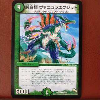 old5885セット割引　純白類 ヴァニュラエグジット