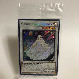 【未開封】ガーデン・ローズ・メイデン 英語版シク