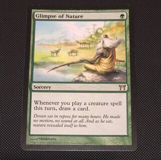 MTG 垣間見る自然/Glimpse of Nature 英語版FOIL 1枚