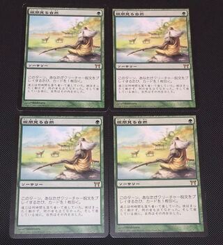 値下げ 垣間見る自然 日本語版4枚セット プレイド