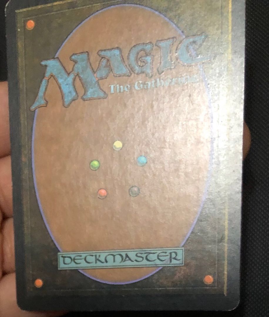 値下げ 垣間見る自然 日本語版4枚セット プレイド