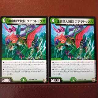 old5894 set discount Chordates Aerodactylus large winged