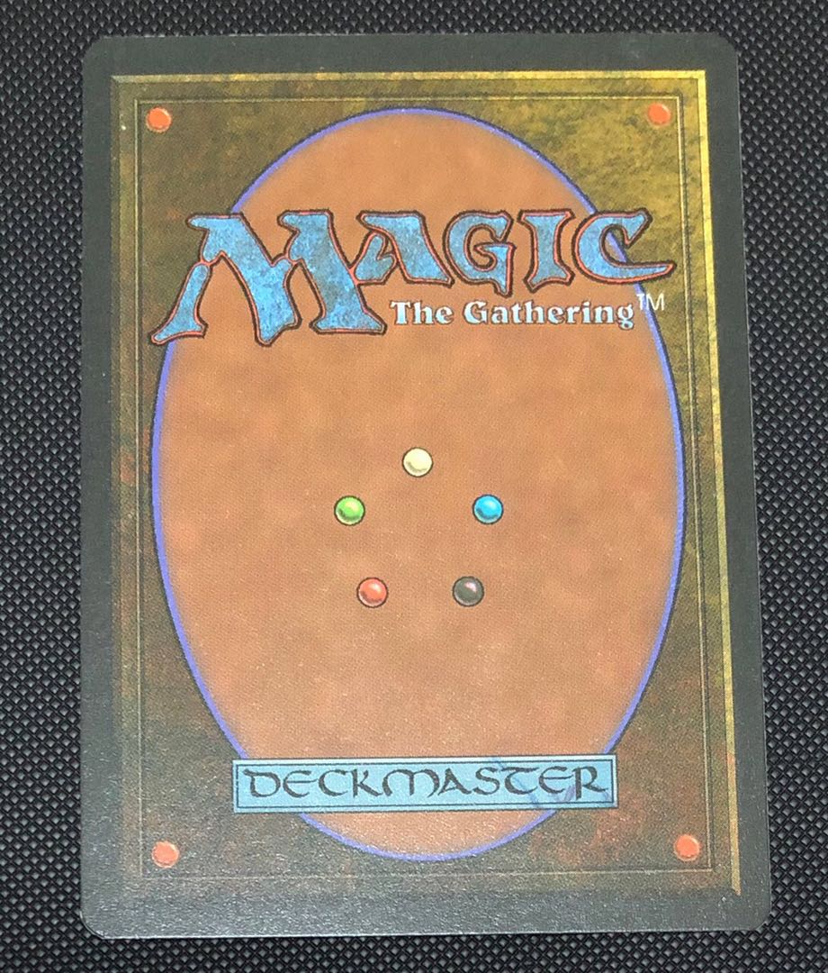 値下げ 森の知恵 第4版 英語版1枚