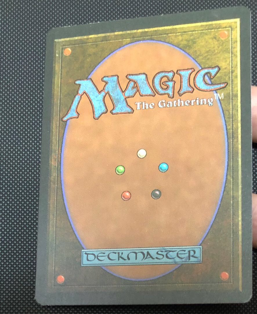 値下げ 森の知恵 第4版 英語版1枚