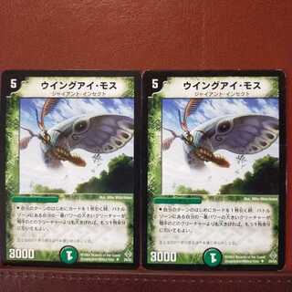 Discount on old5900 set Wingeye Moth