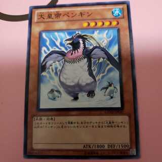 大皇帝ペンギン ノーマルレア