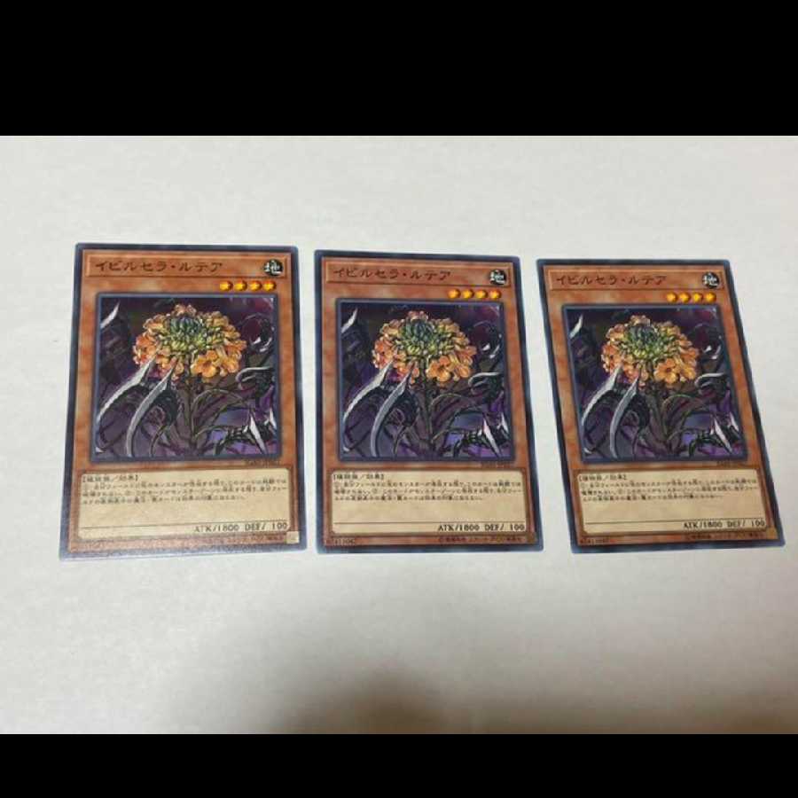 Yu-Gi-Oh! Ibicella Lutea 3 cards, model no. A-928