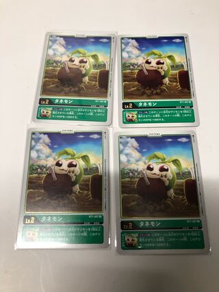 タネモン4枚セット