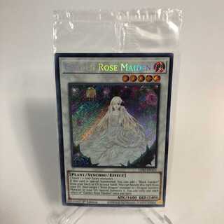 【未開封】ガーデン・ローズ・メイデン 英語版シク