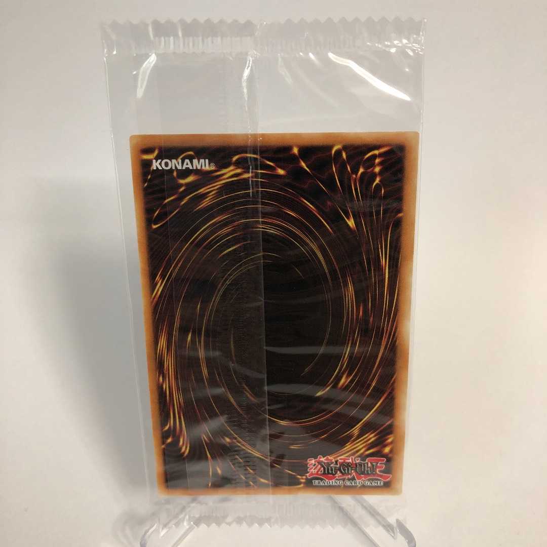 【未開封】ガーデン・ローズ・メイデン 英語版シク