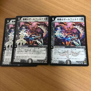 黒騎士ザールフェルドII世