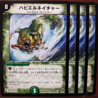 old6048セット割引　ハビエルネイチャー