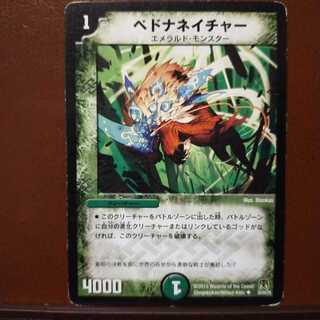 Discount on old6050 sets Pedna Nature