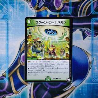 コクーン・シャナバガン、