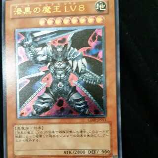 漆黒の魔王 LV8