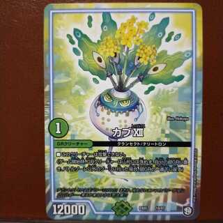 old6052 set discount cub