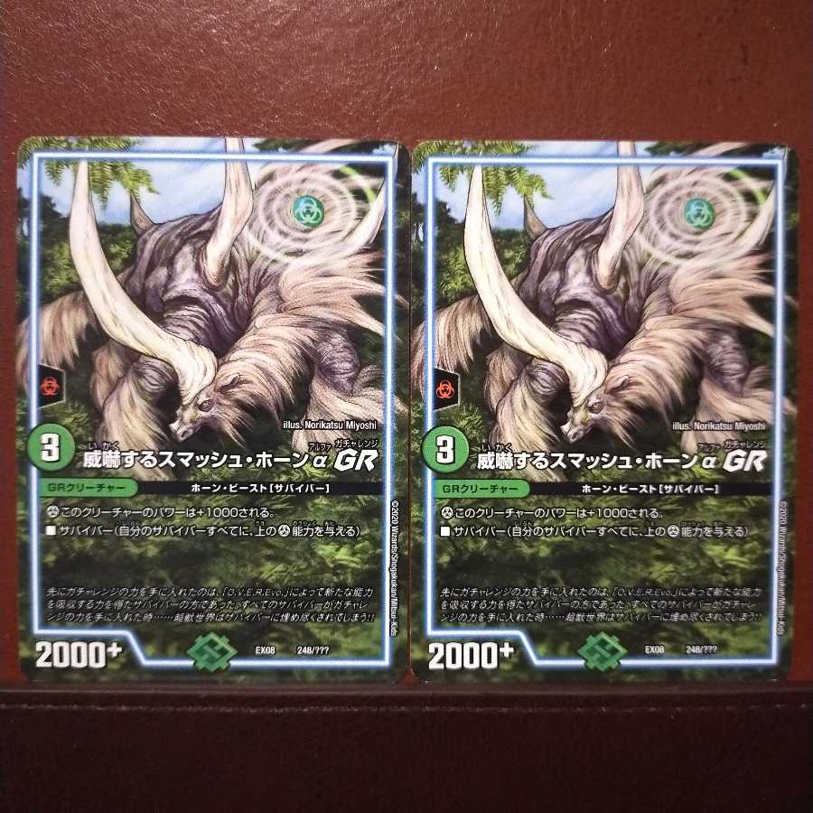 Exclusive for Mr. Kamada old6060 set discount Smash Horn QGR