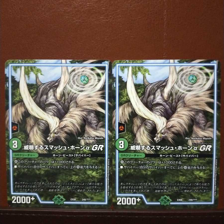 Nasira's exclusive old6061 set discount Smash Horn QGR