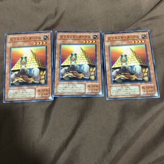 ピラミッド・タートル ノーマル